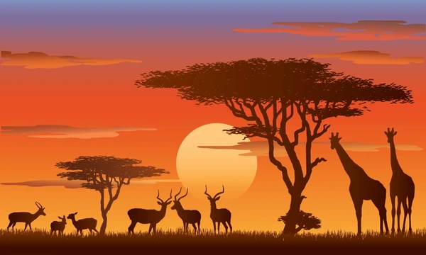 African safari