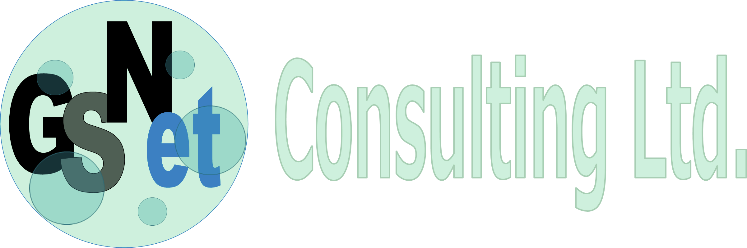 GSNet Consulting